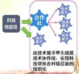 天津市科技幫扶信息服務平臺 專業(yè)信息技術咨詢服務助力發(fā)展